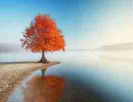 免﻿费​缓‍存‌小​说‌软​件‍推​荐‍